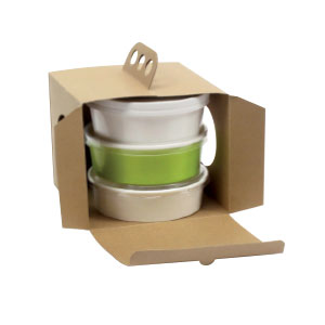 packnwood-takeout-box